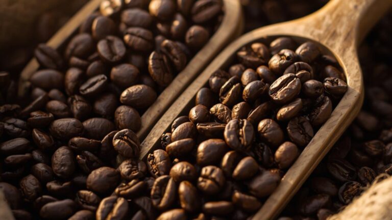 Two scoops of coffee beans side by side (light vs dark roast)