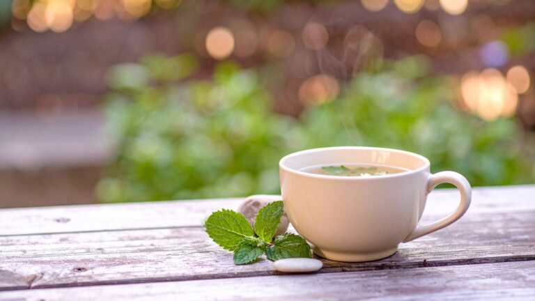 Spearmint tea side effects overview (spearmint leaves and tea)