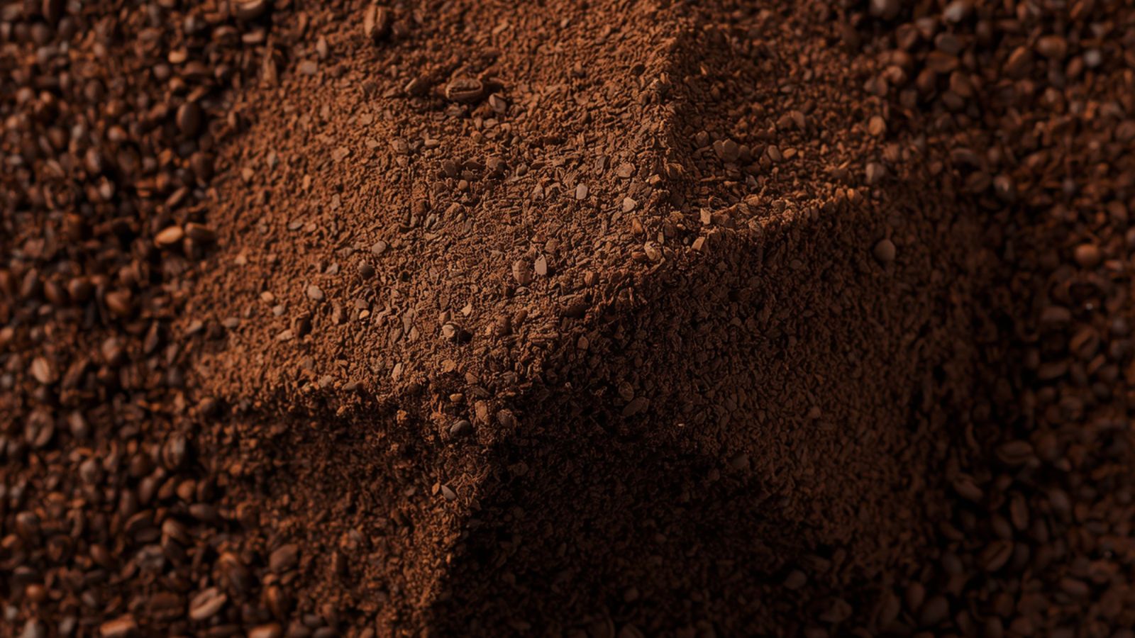 Close-up of ground coffee and coffee beans for a coffee grind size guide
